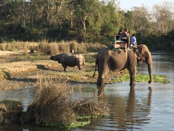 1 night 2 days Chitwan Jungle Safari