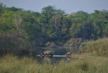4 nights 5 days Bardia Jungle Safari