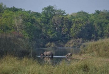 4 nights 5 days Bardiya Jungle Safari