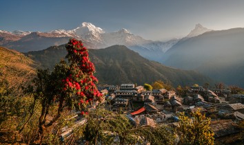 Annapurna Easy and Short Trek