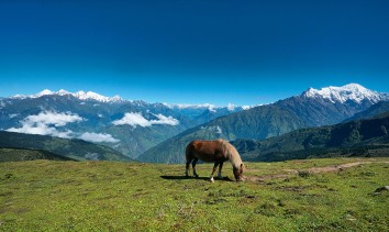 Langtang Gosaikunda Trek