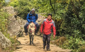 Annapurna Pony Trekking