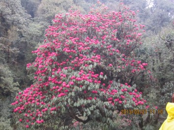 Annapurna Trekking Season