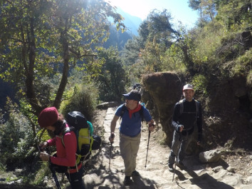 How hiking in nature changes the brainpower.