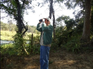 Bird Watching