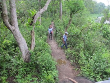 Jungle Safari in Nepal