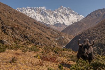 Everest Yeti Trekking Trail