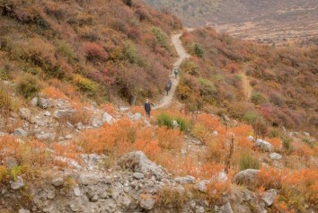 Langtang Hiking