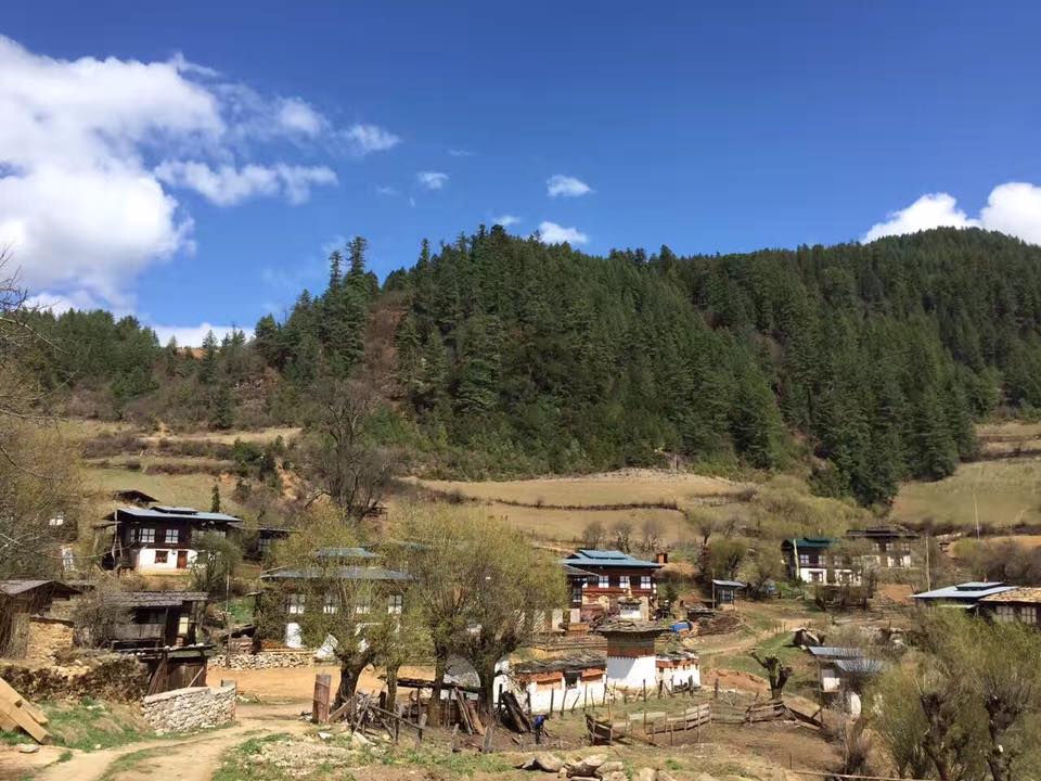 Exotic Bhutan