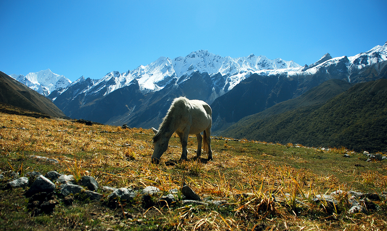 Book Langtang Valley Trekking