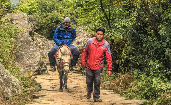 Book Annapurna Pony Trekking