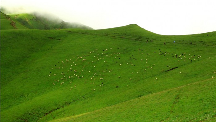 Badimalika Trekking