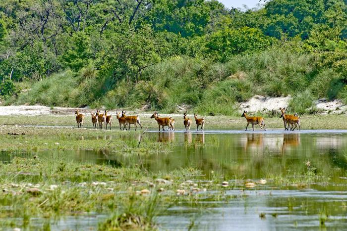 Book Bardiya National Park