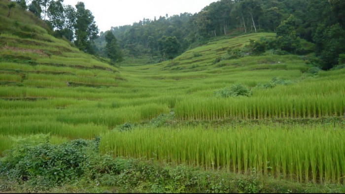 Gorkha Pokhara Trek