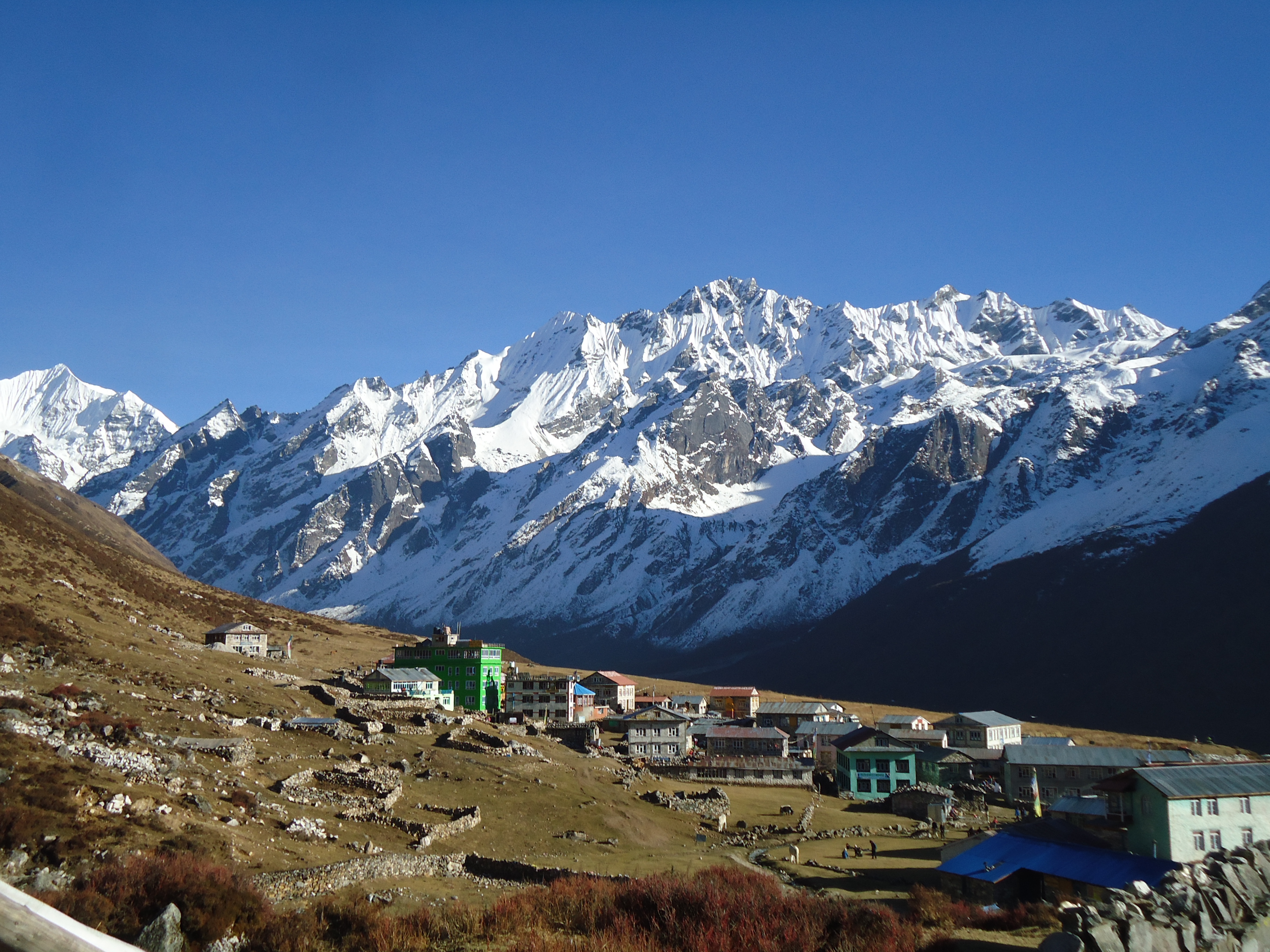 Book Langtang Panorama Trek