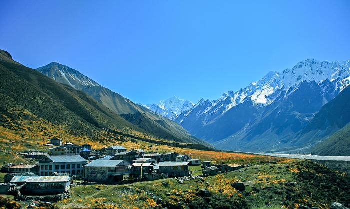 ‘Langtang’ the flower valley trek.