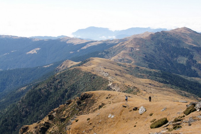 Book Pikey Peak Trail