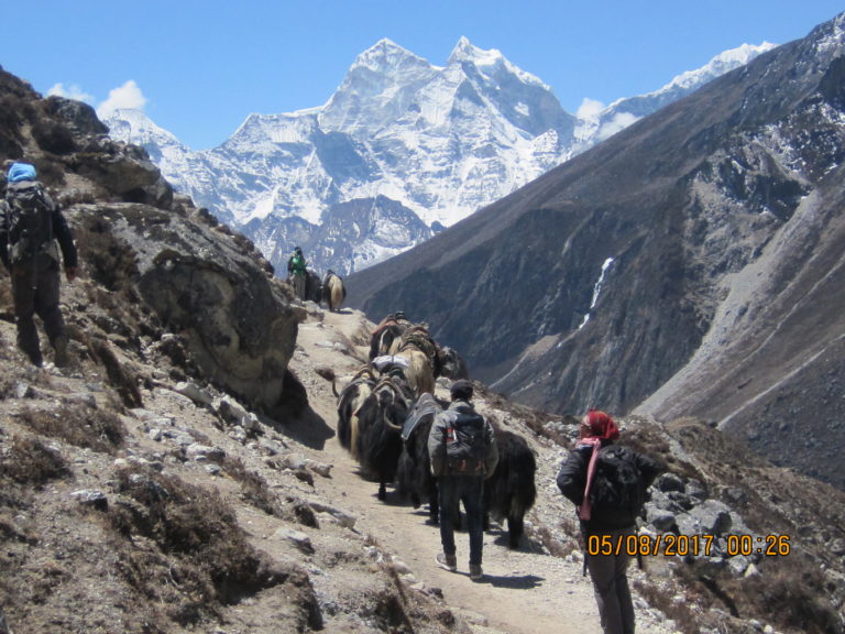 Pure pretty and there is everest base camp trek